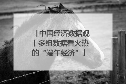 中国经济数据观丨多组数据看火热的“端午经济”