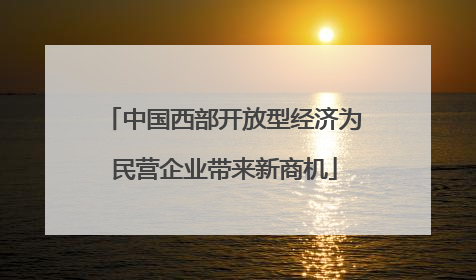 中国西部开放型经济为民营企业带来新商机