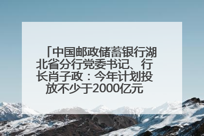 中国邮政储蓄银行湖北省分行党委书记、行长肖子政：今年计划投放不少于2000亿元支持支点建设