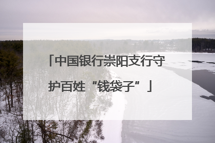 中国银行崇阳支行守护百姓“钱袋子”