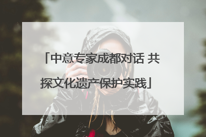 中意专家成都对话 共探文化遗产保护实践