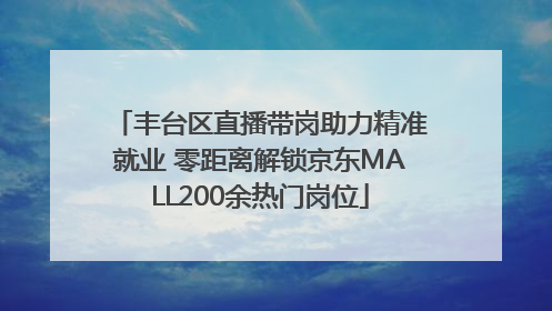 丰台区直播带岗助力精准就业 零距离解锁京东MALL200余热门岗位