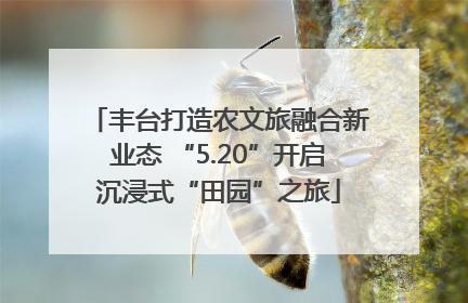 丰台打造农文旅融合新业态 “5.20”开启沉浸式“田园”之旅