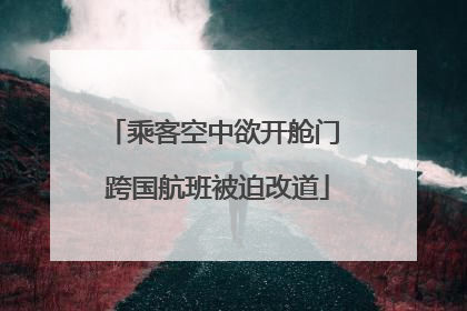 乘客空中欲开舱门 跨国航班被迫改道