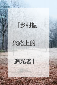 乡村振兴路上的追光者