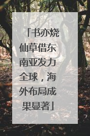 书亦烧仙草借东南亚发力全球，海外布局成果显著