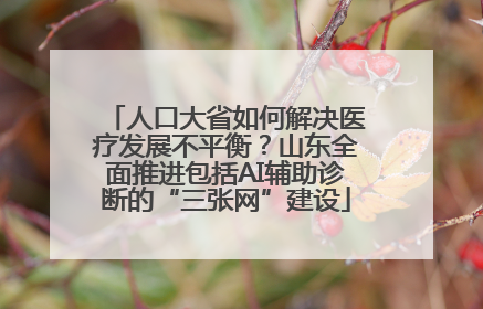 人口大省如何解决医疗发展不平衡？山东全面推进包括AI辅助诊断的“三张网”建设
