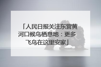 人民日报关注东营黄河口候鸟栖息地：更多飞鸟在这里安家