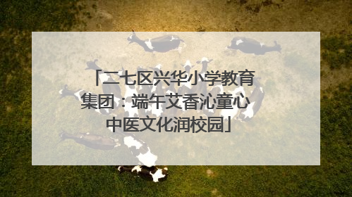 二七区兴华小学教育集团：端午艾香沁童心 中医文化润校园