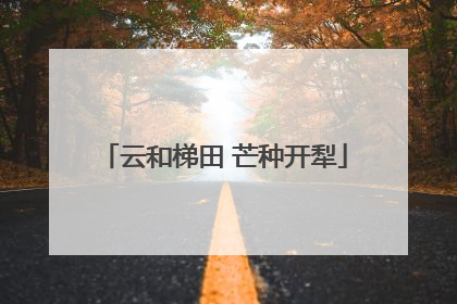 云和梯田 芒种开犁