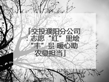 交投濮阳分公司：志愿“红”里绘“丰”景 暖心助农显担当
