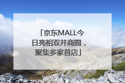 京东MALL今日亮相双井商圈，聚集多家首店