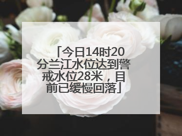 今日14时20分兰江水位达到警戒水位28米，目前已缓慢回落