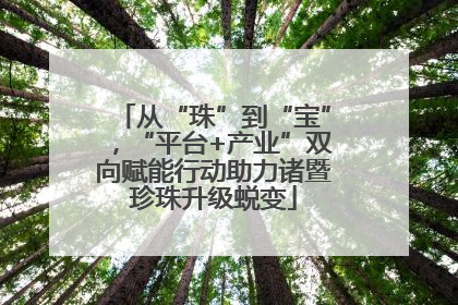 从“珠”到“宝”，“平台+产业”双向赋能行动助力诸暨珍珠升级蜕变