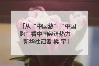 从“中国游”“中国购”看中国经济热力 新华社记者 樊 宇