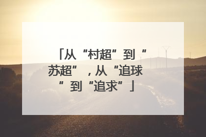 从“村超”到“苏超”，从“追球”到“追求”