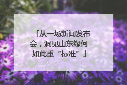 从一场新闻发布会，洞见山东缘何如此重“标准”