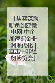 从买深海鳀鱼到建微电网 中企加速掘金非洲现代化｜直击中非经贸博览会