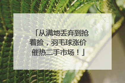 从满地丢弃到抢着捡，羽毛球涨价催热二手市场！