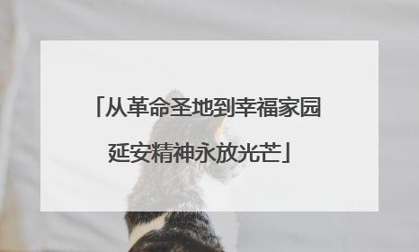 从革命圣地到幸福家园 延安精神永放光芒