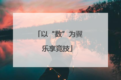 以“数”为翼 乐享竞技