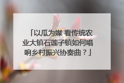 以瓜为媒 看传统农业大镇石莲子镇如何唱响乡村振兴协奏曲？
