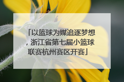 以篮球为媒追逐梦想，浙江省第七届小篮球联赛杭州赛区开赛