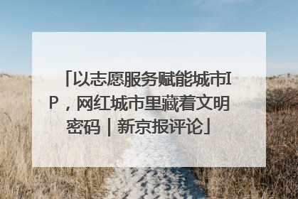 以志愿服务赋能城市IP，网红城市里藏着文明密码｜新京报评论