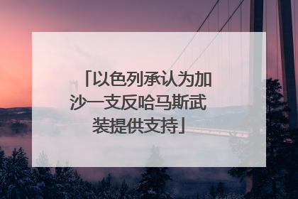 以色列承认为加沙一支反哈马斯武装提供支持