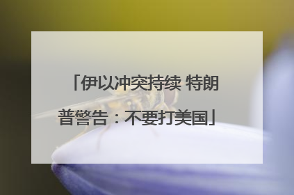 伊以冲突持续 特朗普警告：不要打美国