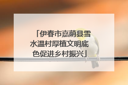伊春市嘉荫县雪水温村厚植文明底色促进乡村振兴
