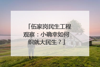 伍家岗民生工程观察：小确幸如何织就大民生？