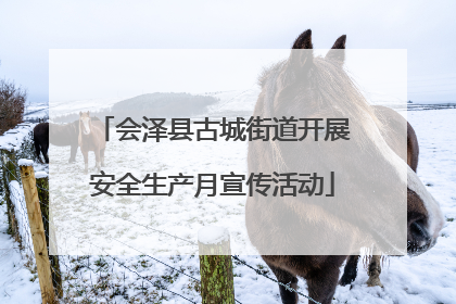 会泽县古城街道开展安全生产月宣传活动