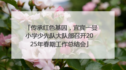 传承红色基因，宜宾一曼小学少先队大队部召开2025年春期工作总结会