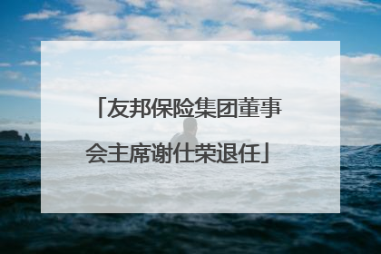 友邦保险集团董事会主席谢仕荣退任