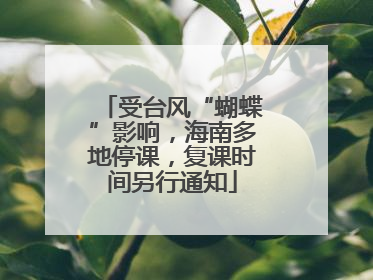 受台风“蝴蝶”影响，海南多地停课，复课时间另行通知