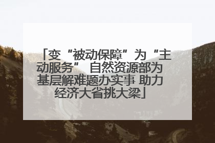 变“被动保障”为“主动服务” 自然资源部为基层解难题办实事 助力经济大省挑大梁