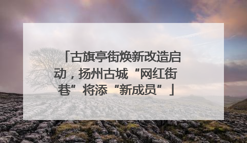 古旗亭街焕新改造启动，扬州古城“网红街巷”将添“新成员”