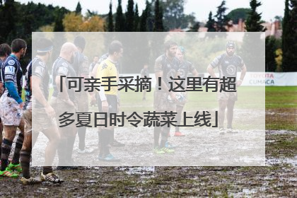 可亲手采摘！这里有超多夏日时令蔬菜上线