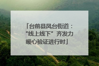 台前县凤台街道：“线上线下”齐发力 暖心验证进行时