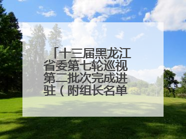 十三届黑龙江省委第七轮巡视第二批次完成进驻（附组长名单、联系方式）
