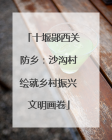十堰郧西关防乡：沙沟村绘就乡村振兴文明画卷