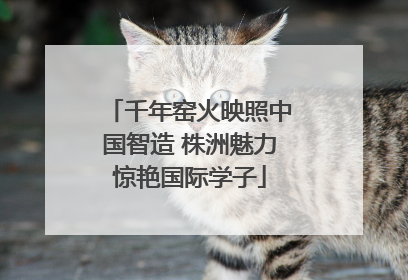 千年窑火映照中国智造 株洲魅力惊艳国际学子