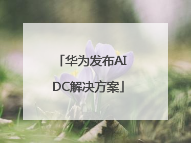 华为发布AI DC解决方案
