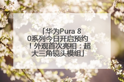 华为Pura 80系列今日开启预约！外观首次亮相：超大三角镜头模组