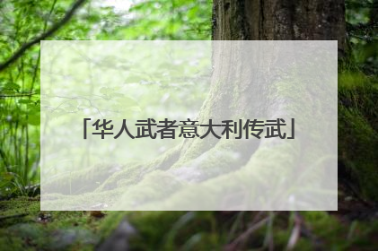 华人武者意大利传武
