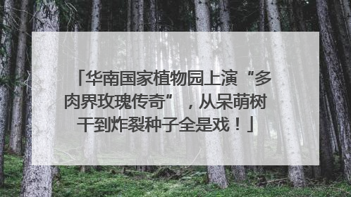 华南国家植物园上演“多肉界玫瑰传奇”，从呆萌树干到炸裂种子全是戏！