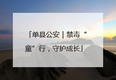 单县公安｜禁毒“童”行，守护成长
