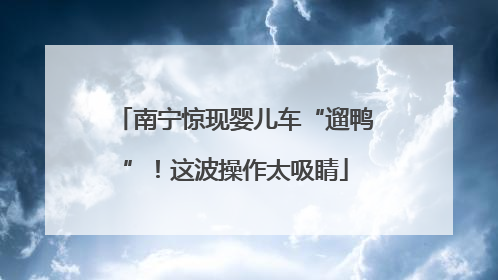 南宁惊现婴儿车“遛鸭”！这波操作太吸睛
