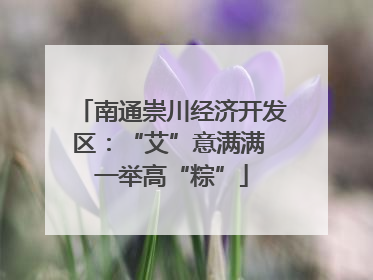 南通崇川经济开发区：“艾”意满满 一举高“粽”